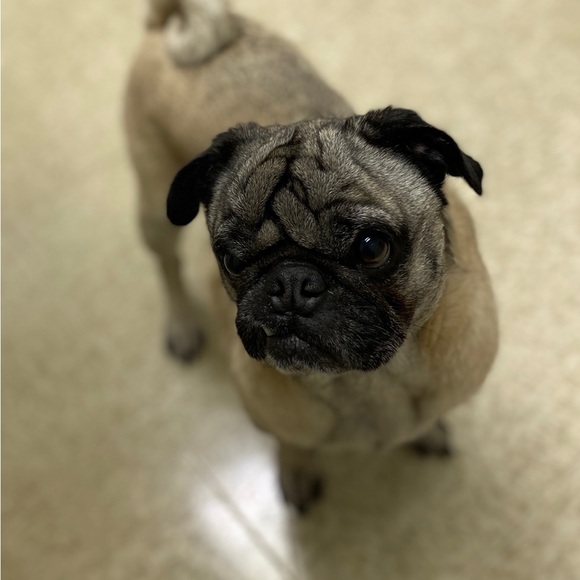 Meet your Posher, Kristi - Picture 9 of 17